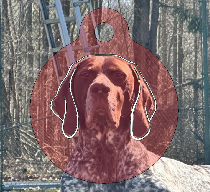 piper transparent tag