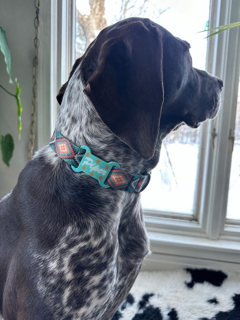 piper with tag