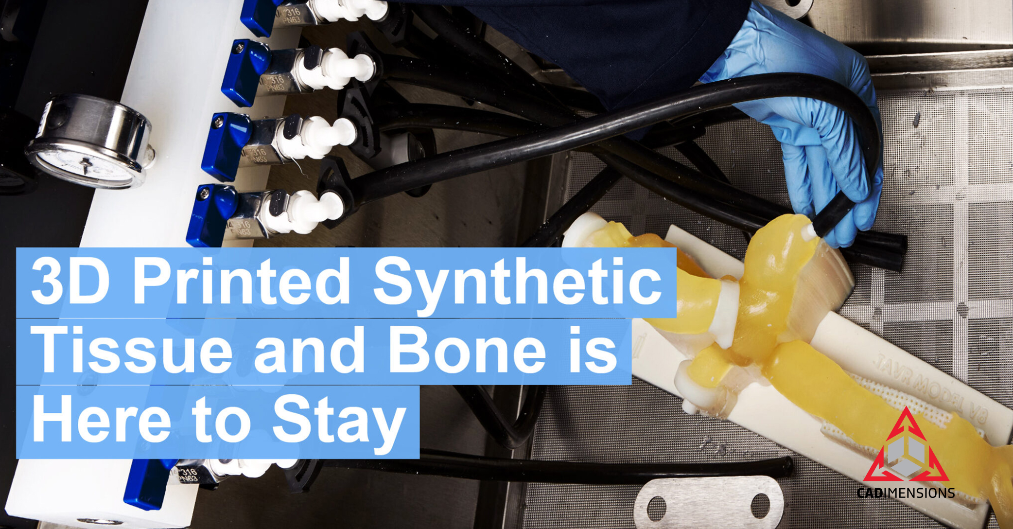 Why 3D Printed Synthetic Bodies Parts Are Amazing